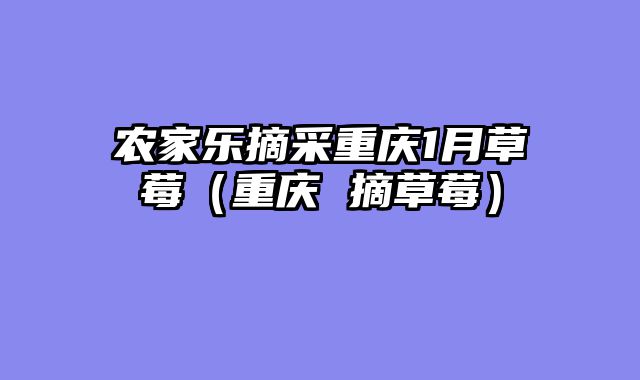 农家乐摘采重庆1月草莓（重庆 摘草莓）