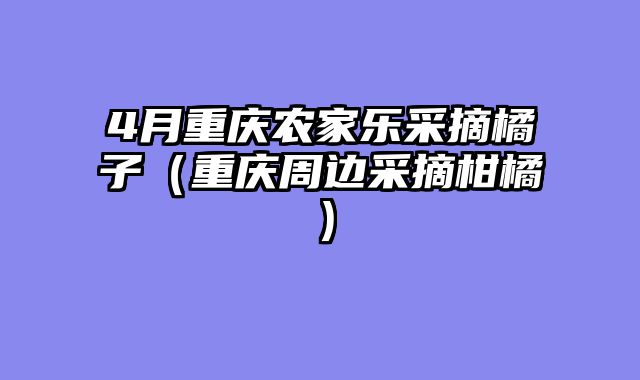 4月重庆农家乐采摘橘子（重庆周边采摘柑橘）