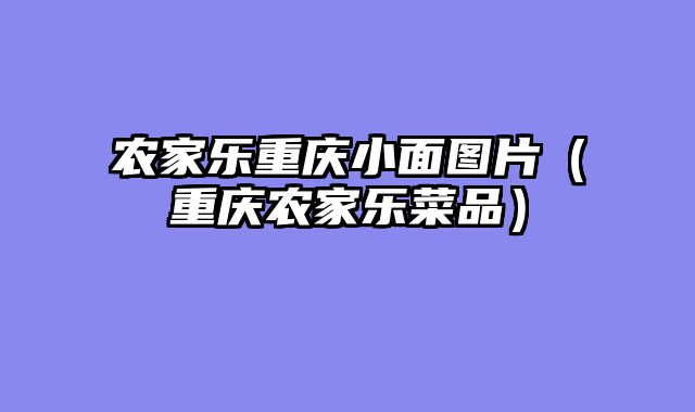 农家乐重庆小面图片（重庆农家乐菜品）