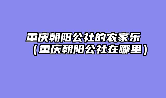 重庆朝阳公社的农家乐（重庆朝阳公社在哪里）