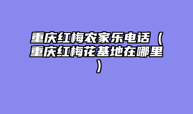 重庆红梅农家乐电话（重庆红梅花基地在哪里）