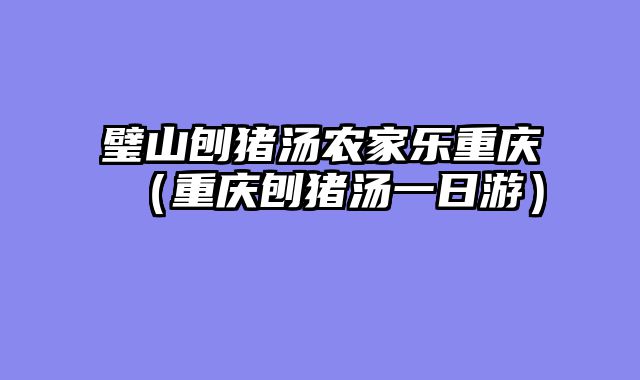 璧山刨猪汤农家乐重庆（重庆刨猪汤一日游）