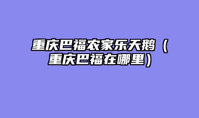 重庆巴福农家乐天鹅（重庆巴福在哪里）