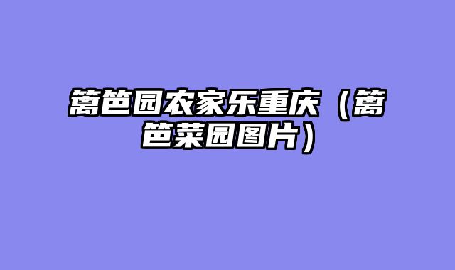 篱笆园农家乐重庆（篱笆菜园图片）