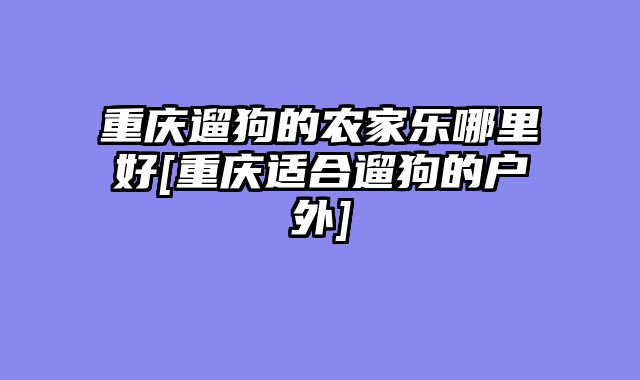 重庆遛狗的农家乐哪里好[重庆适合遛狗的户外]
