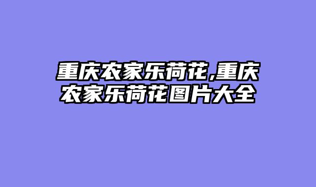 重庆农家乐荷花,重庆农家乐荷花图片大全