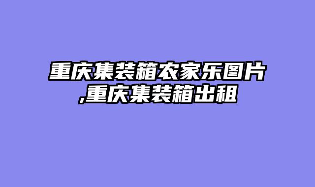重庆集装箱农家乐图片,重庆集装箱出租