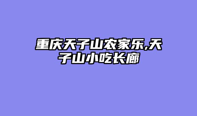 重庆天子山农家乐,天子山小吃长廊