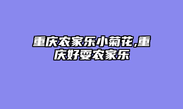重庆农家乐小菊花,重庆好耍农家乐